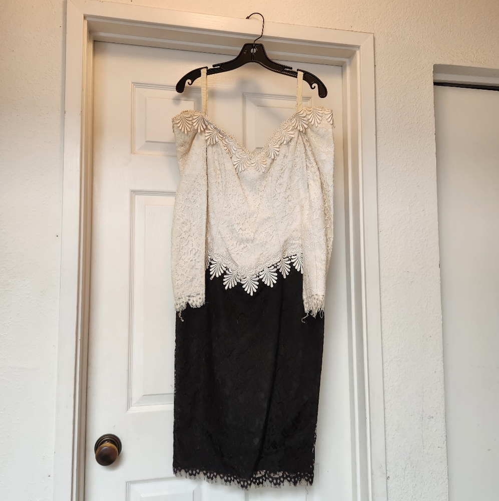 Cachet Black and White Lace Long Sleeve Dress